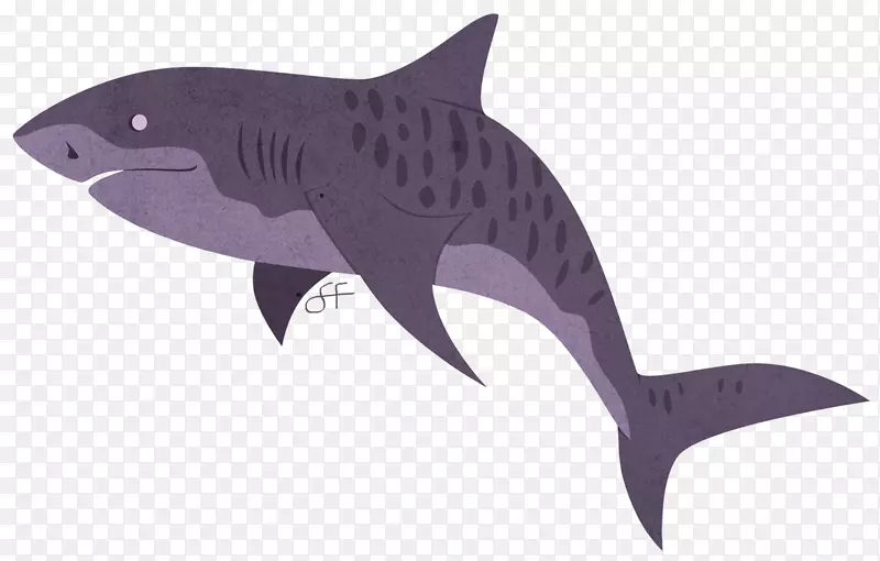 虎鲨海洋生物学研究鲨鱼海洋-虎鲨