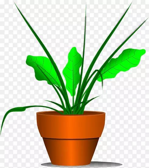 室内植物下载剪辑艺术-卡通植物