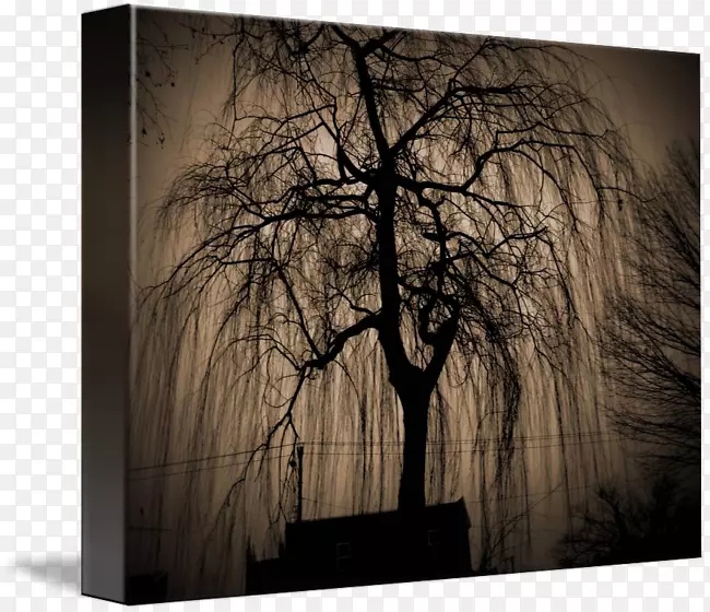 帕尔默墓地影像画框艺术/m/083vt-哭泣的柳树