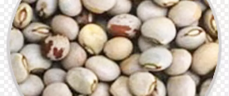 鸽豌豆开心果籽鸽豌豆