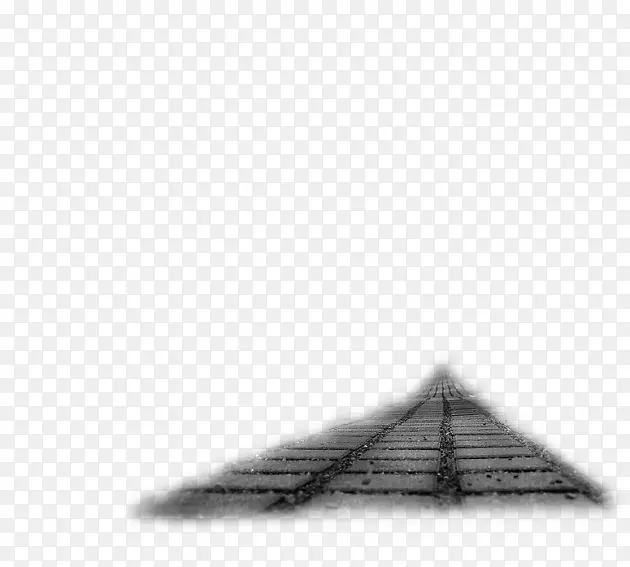 三角摄影金字塔-黑天鹅