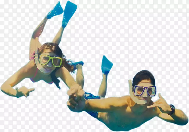 潜水和潜水面具潜水剪贴画海豚卡通
