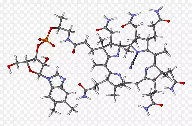 氰钴胺维生素b-12核黄素硫胺素