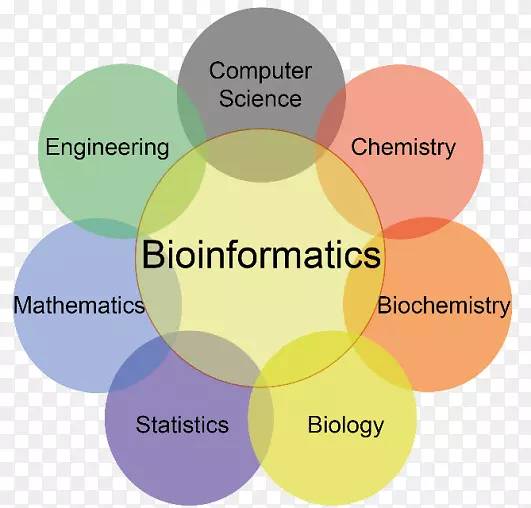 生物信息学计算机科学计算生物学教学方法