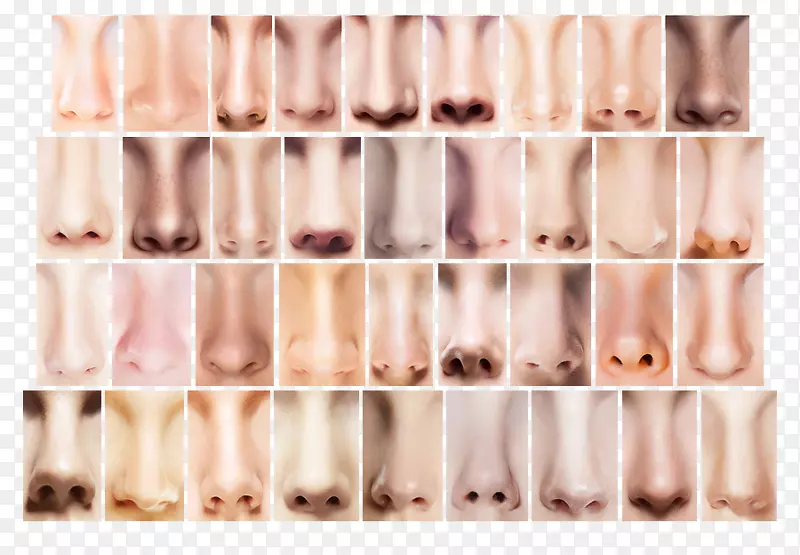 人体鼻翼扩张器-大鼻子