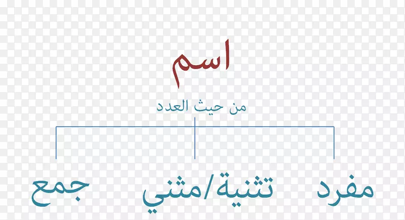 双复数阿拉伯语法-单词