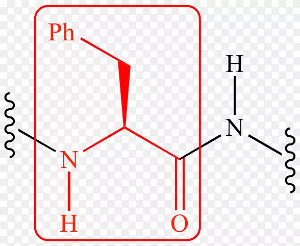 丝氨酸蛋白酶糜蛋白酶肽键有机化学