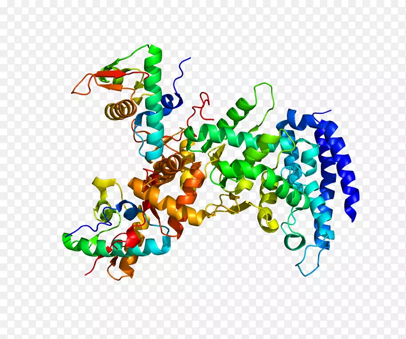 ESCRT空泡蛋白分选vps 25蛋白靶向