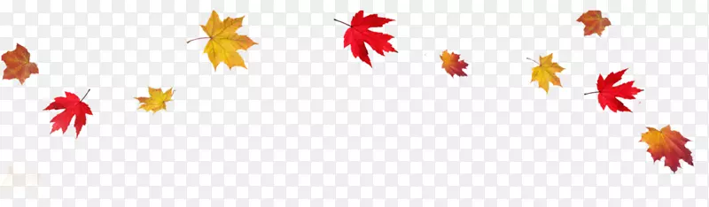秋叶色桌面壁纸剪贴画-谢谢