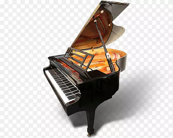 钢琴，数字钢琴，钢琴.钢琴