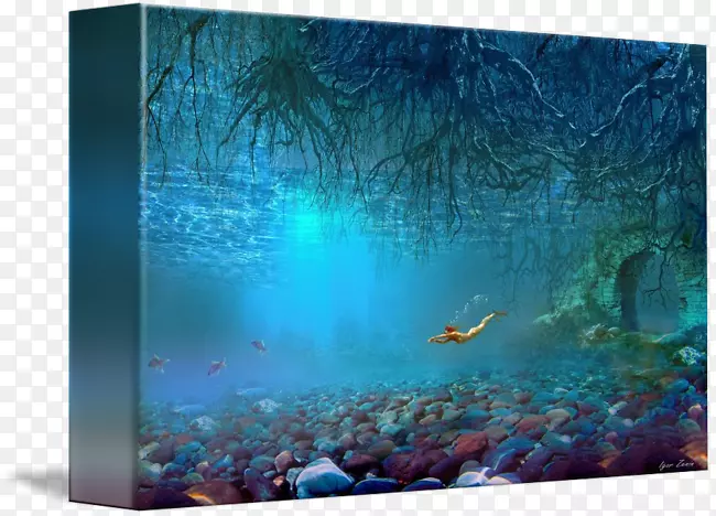 珊瑚礁鱼类水族馆生态系统-水下世界