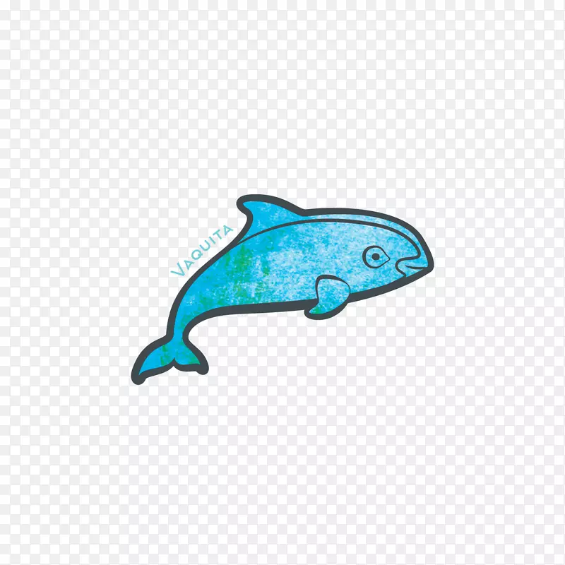海豚鲸目动物太平洋鲸鱼基金会海豚海洋生物-海豚