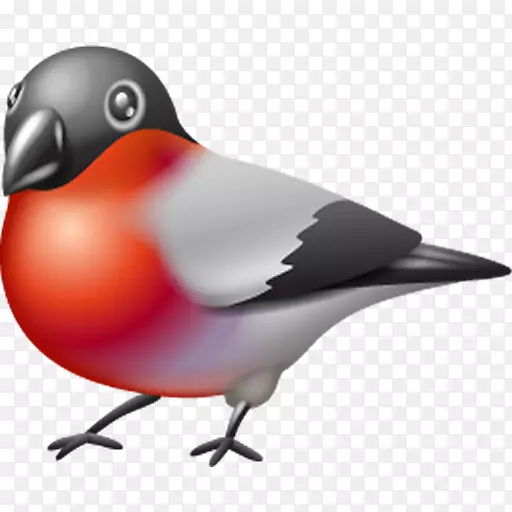 鸟电脑图标鸟雀夹艺术-鸟