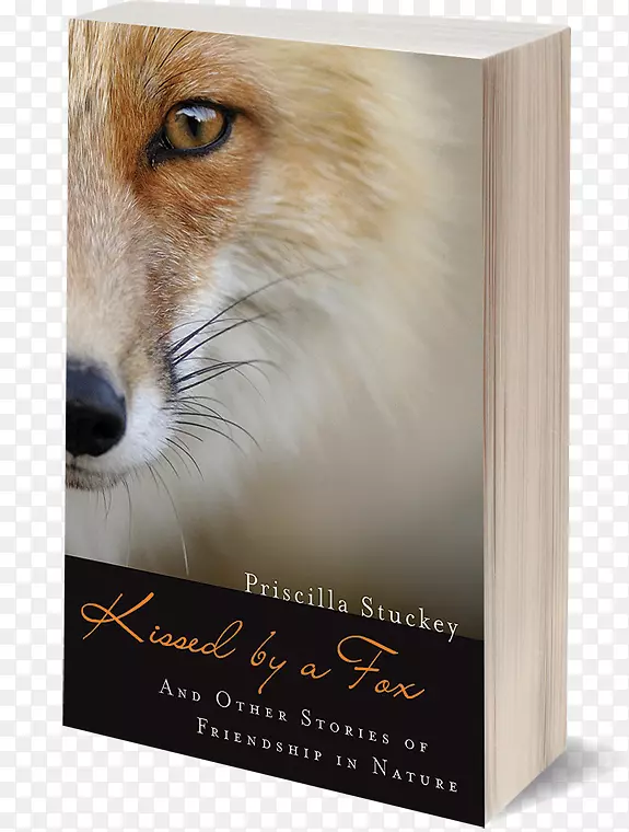 被狐狸亲吻：以及大自然书中的友谊故事-“鼻子”-封面书。
