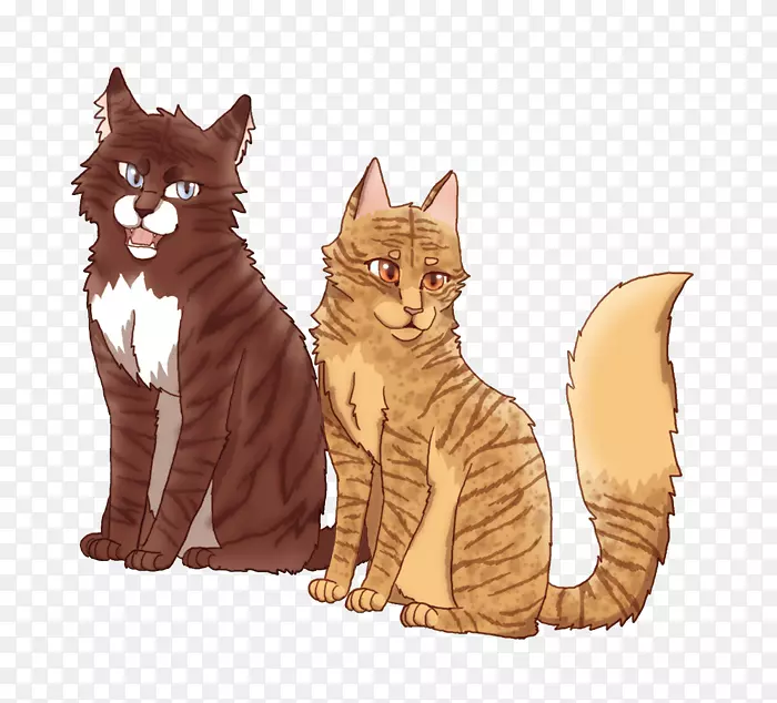 猫家养短毛猫武士兄弟姐妹