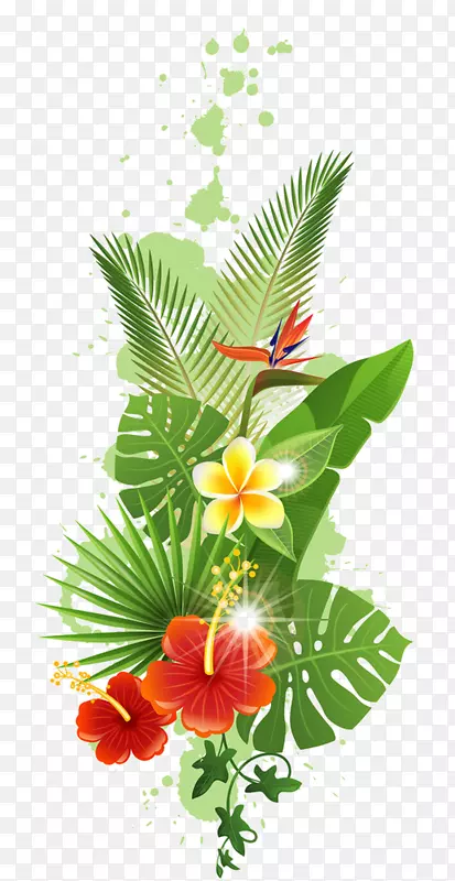 热带热带雨林剪贴画-热带花卉