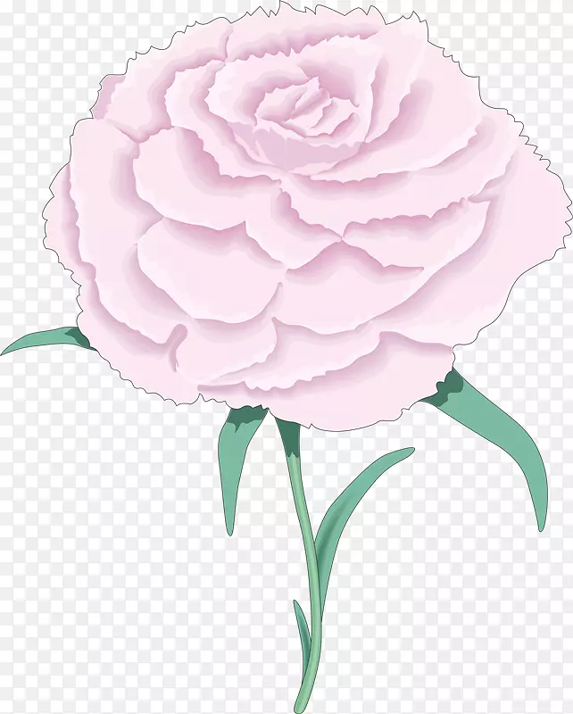 花园玫瑰康乃馨插花艺术-一月二十六日
