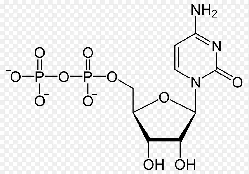 尿苷单磷酸尿苷二磷酸尿苷三磷酸腺苷二磷酸