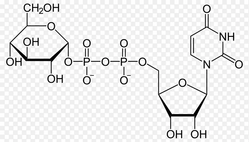 二磷酸尿苷葡萄糖尿苷一磷酸尿苷三磷酸尿苷