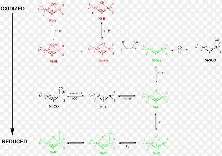 线点角字体线