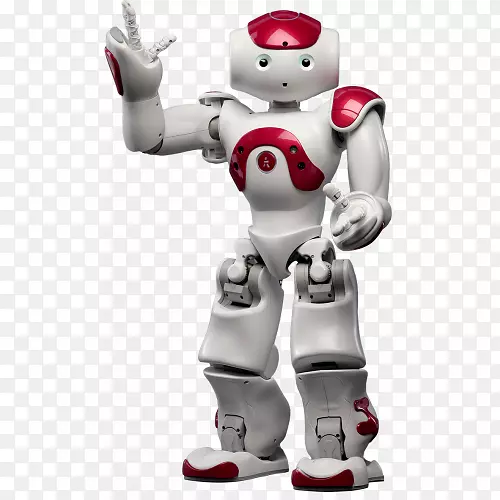 仿人机器人社会机器人-机器人