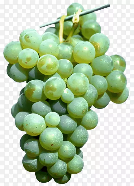 苏大拿葡萄无核葡萄籽提取物-葡萄