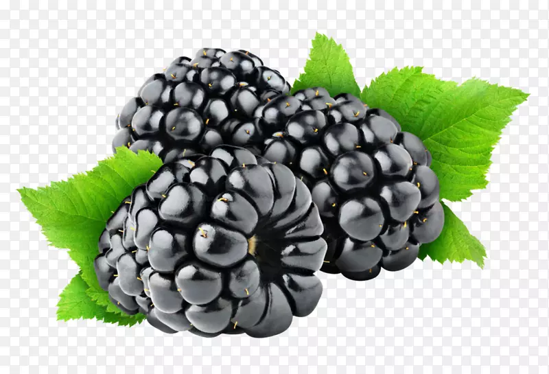 黑莓水果冷冻食品-黑莓