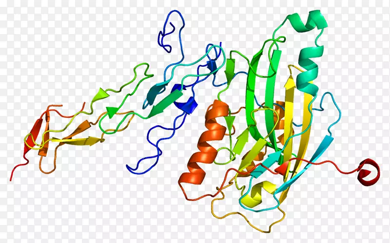 疱疹病毒进入介质蛋白TNF受体超家族光