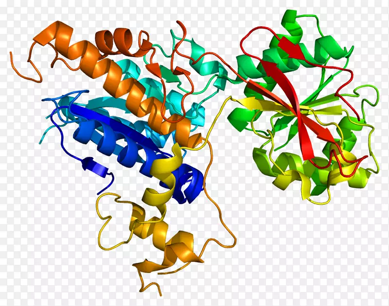 代谢型谷氨酸受体7代谢受体-受体