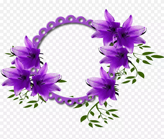 紫丁香花型紫罗兰粉色-莱拉