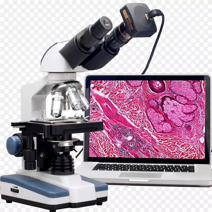 显微镜小仪器