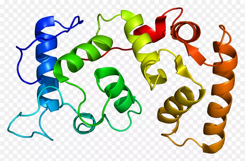 CIB 1整合素蛋白基因血小板生成素