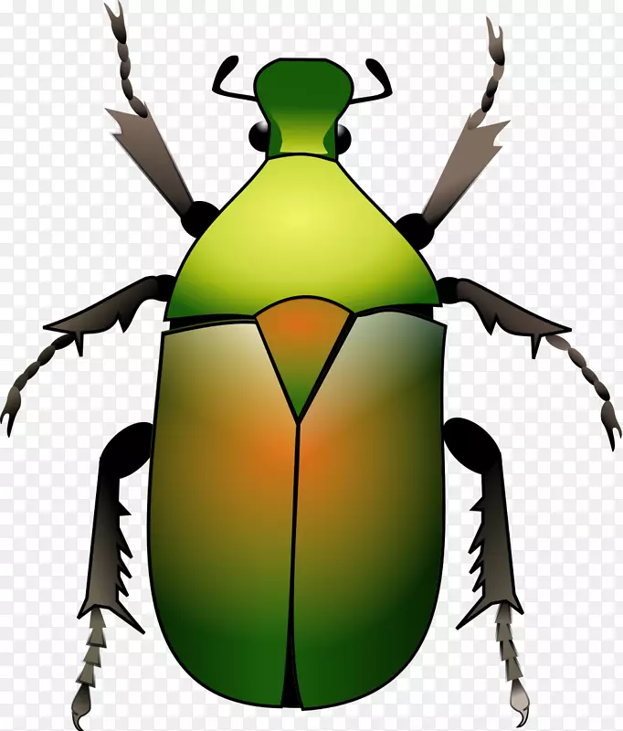 甲虫剪贴画-甲虫