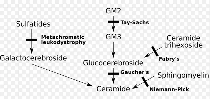 鞘磷脂酰肌醇病，溶酶体贮存病，脂质储存障碍，尼曼-皮克氏病