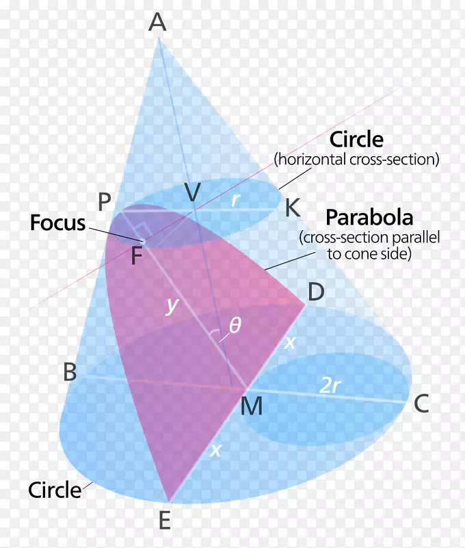 抛物线二次曲线截面双曲线锥焦点圆