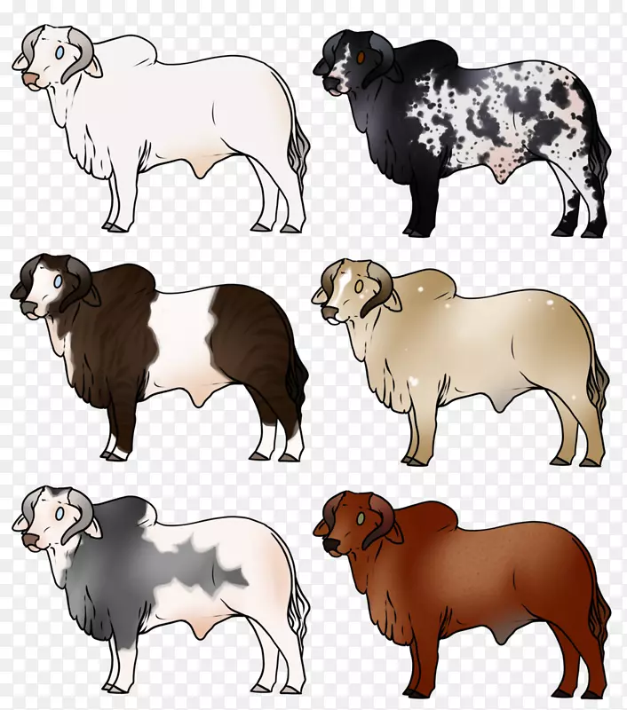 牧牛，山羊，狗，婆罗门牛