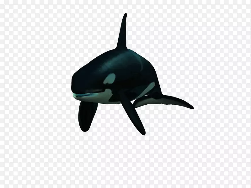 海豚虎鲸光景-lp