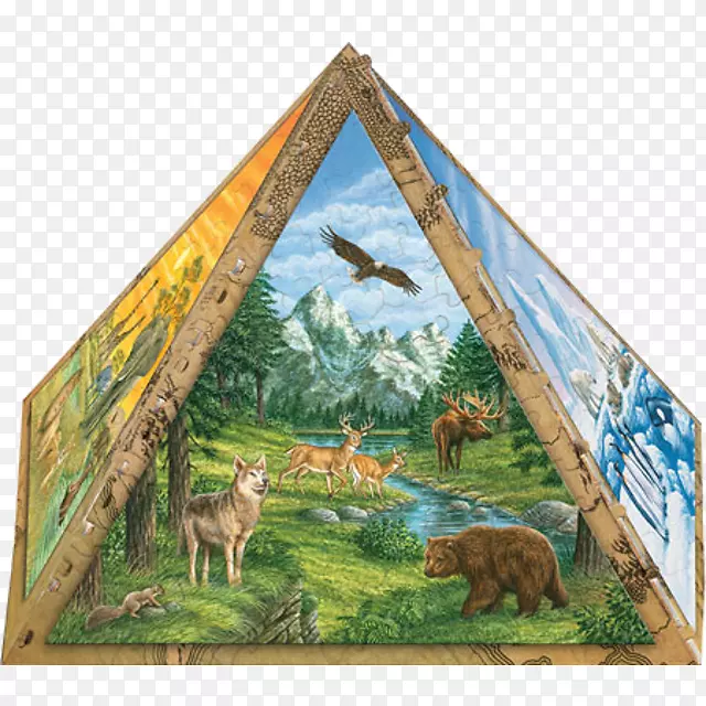 金字塔字谜画框野生动物绘画