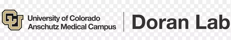 科罗拉多大学博尔德标志品牌字形线