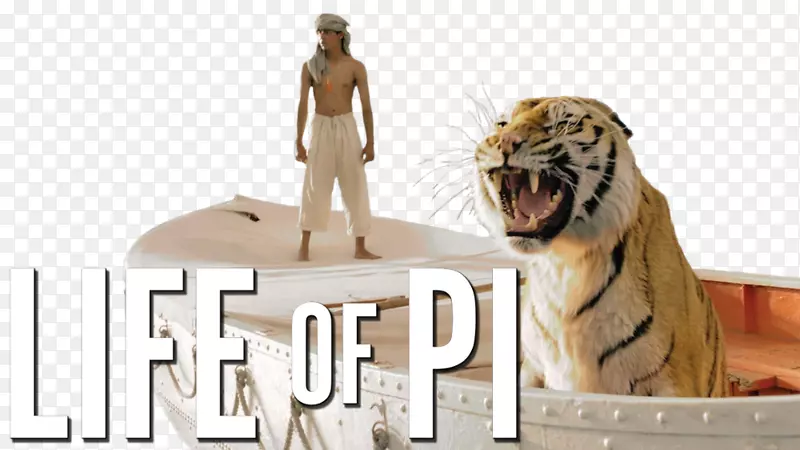 皮帕特尔冒险电影好莱坞的生活-皮的生活