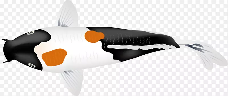 锦鲤鱼-阿迪达斯超级明星插图