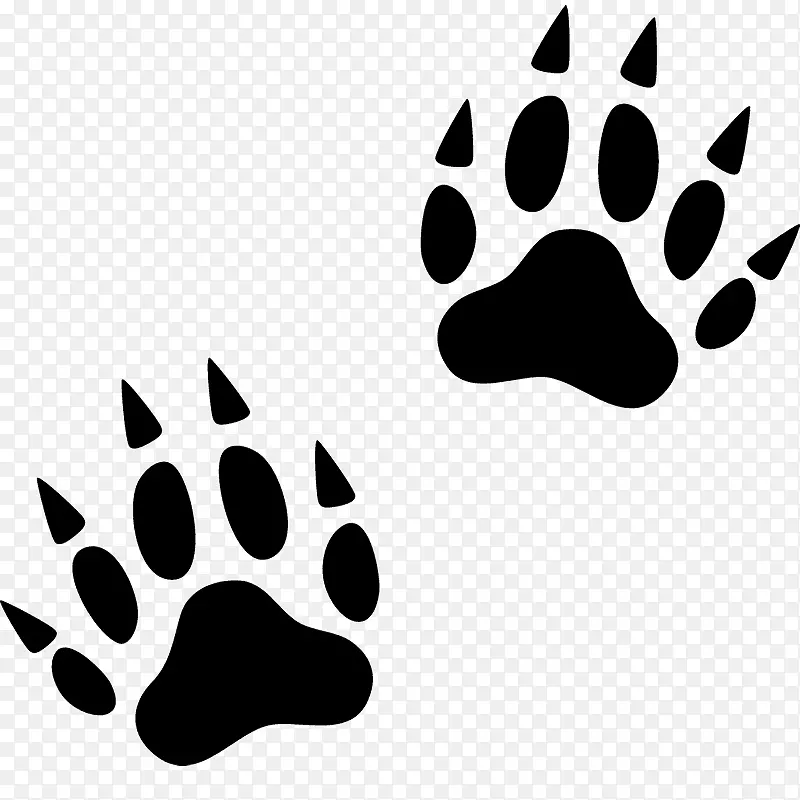 狼爪猫脚印动物追踪虎爪