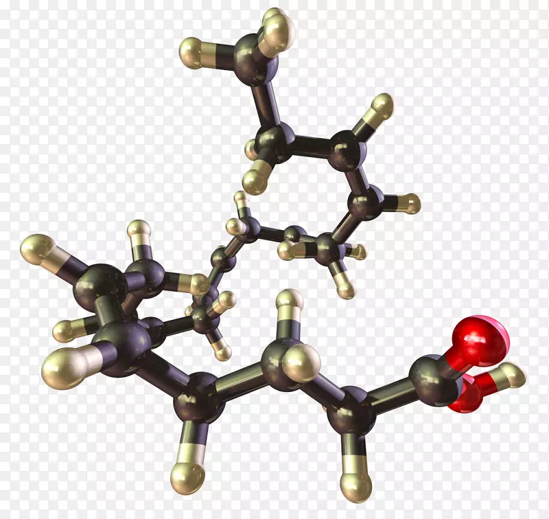 波尔图欧米茄-3脂肪酸大学健康-临床营养