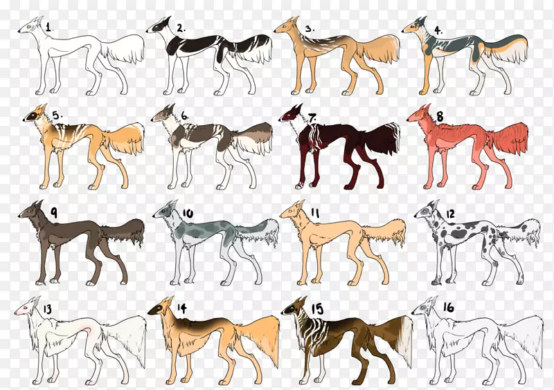 野马犬种