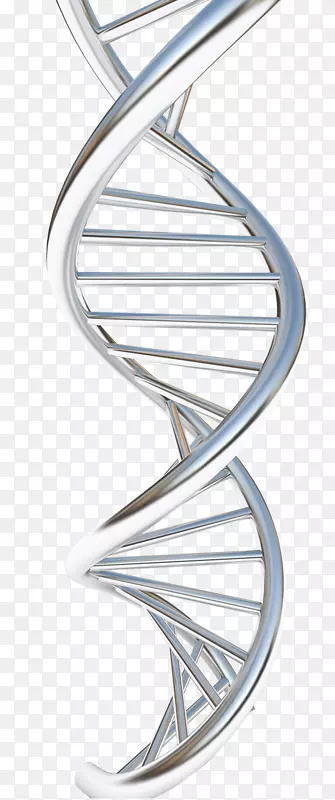 核酸结构DNA核酸分子结构：脱氧核糖核酸的结构