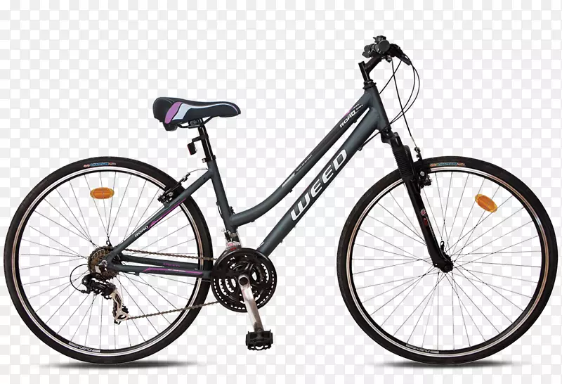 自行车小径自行车岛野山地车-公路自行车