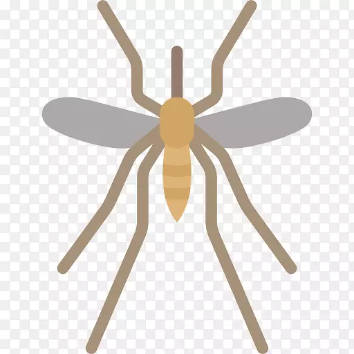 电脑图标昆虫蚊子剪贴画昆虫