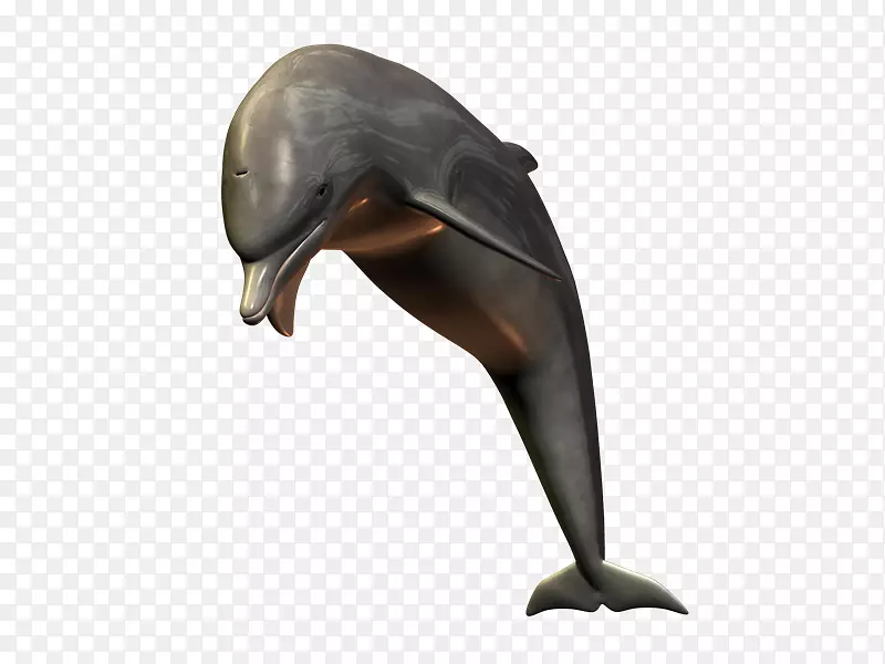图库溪普通宽吻海豚短喙普通海豚