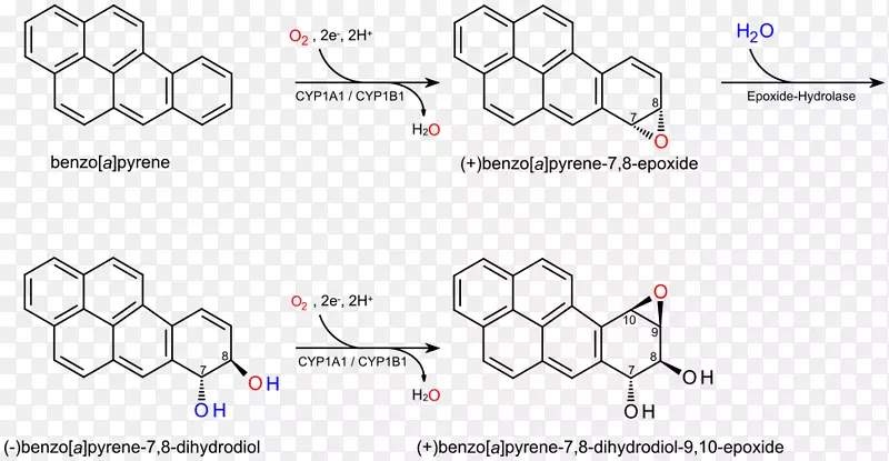 苯并[a]芘对映体化学致癌物多环芳烃