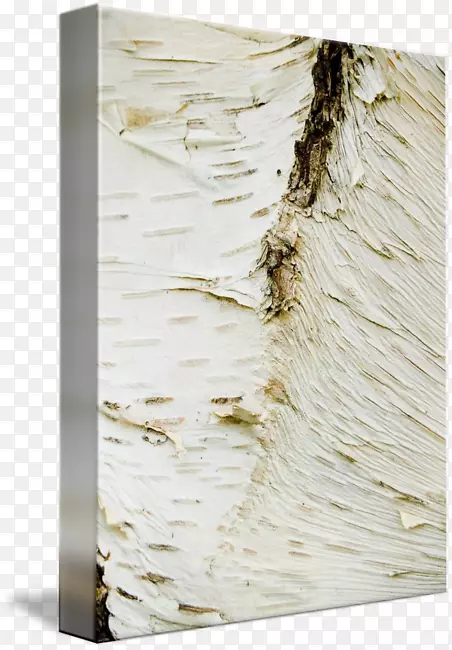 胶合板-桦树树皮